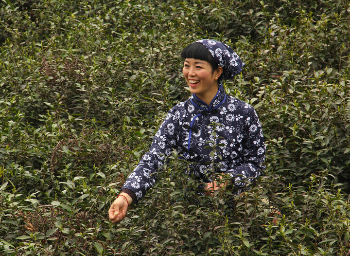 最新更新6